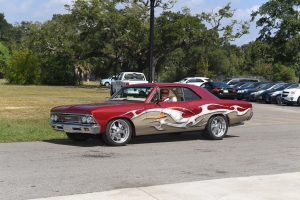 31-036