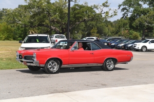 33-036