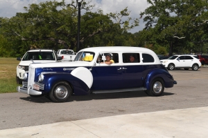 36-036