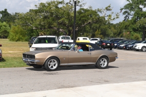 36-061