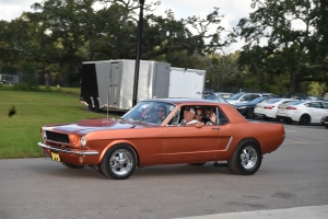 50-056