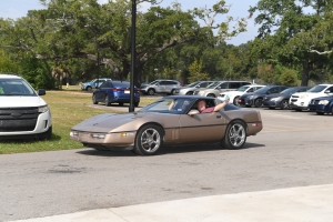 61-035