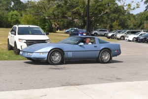 61-038
