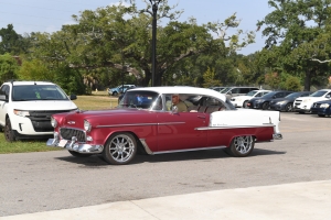 61-067