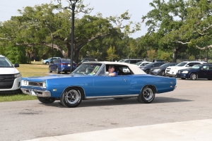 66-031