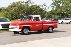 66-065