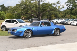 76-081