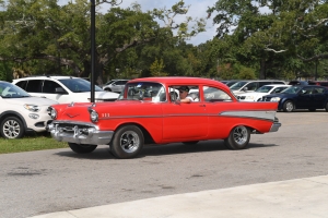 78-029