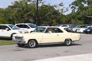 79-033