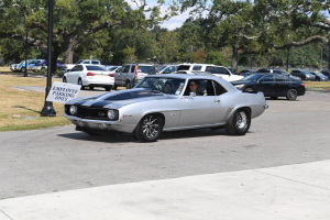 80-081