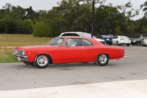 81-097