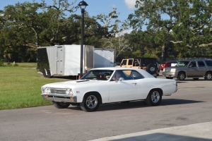 81-050