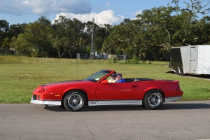 81-061