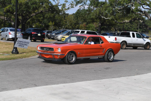 85-079