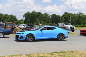 66-065